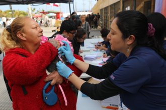 WhatsApp Image 2025-09-25 at 11.05.51.jpeg